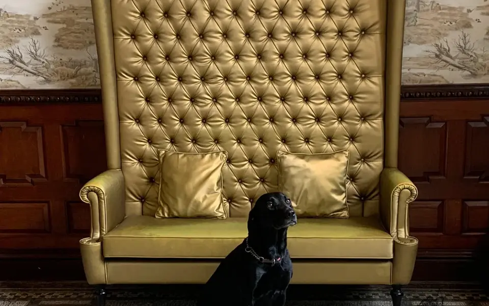 337276399 1397630427740827 2224734808568915070 n 15