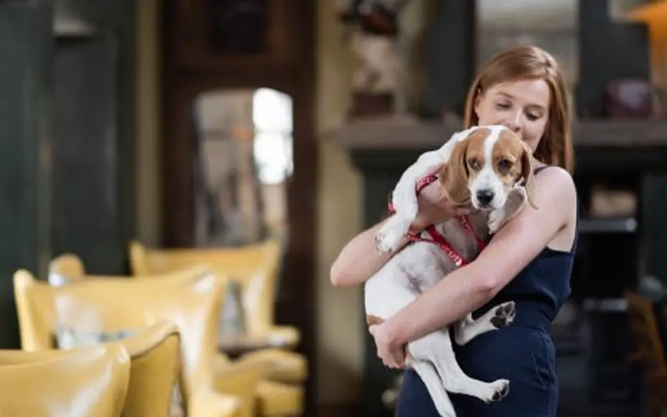 1614 Bar Dog Friendly 464x348